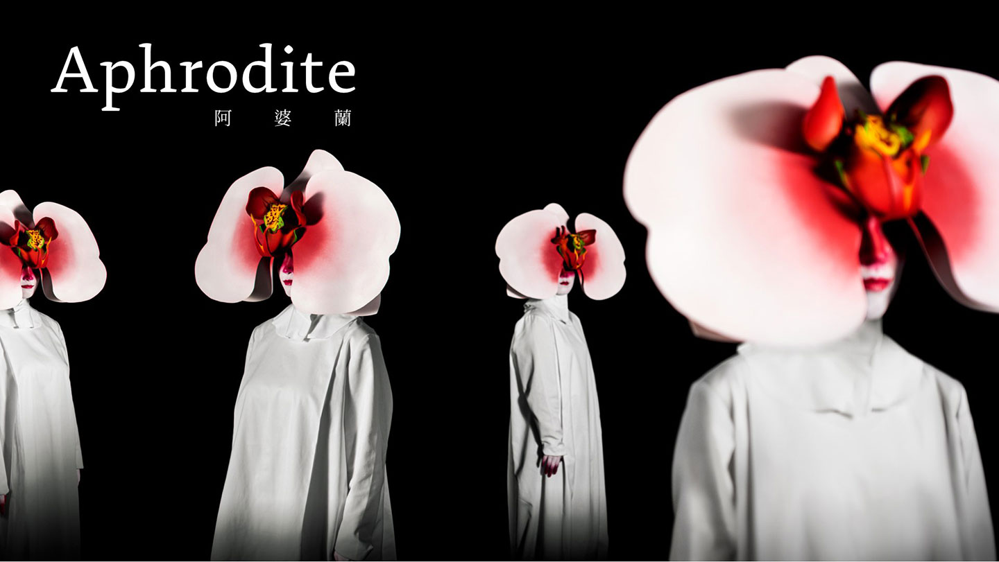 Taiwanese Opera: Aphrodite Orchid